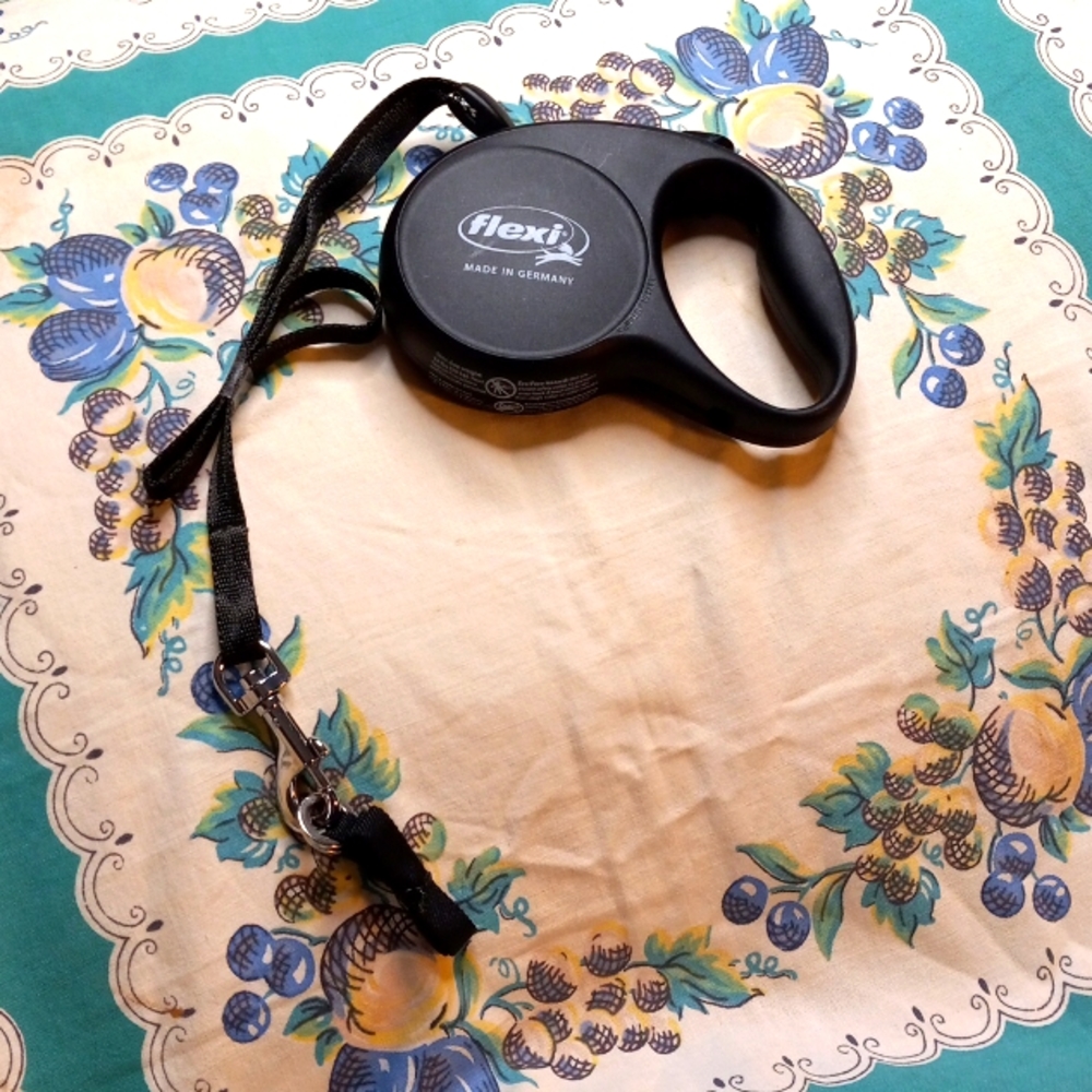Flexi Dog Leash 16 Feet